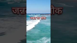 Jannat ka Shoq  Jannat ki Talab  ।  जन्नत का शौक  ।  youtubeshorts shortvideo viral