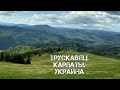 Трускавец. Карпаты. Украина