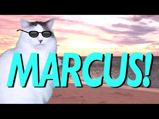 HAPPY BIRTHDAY MARCUS! - EPIC CAT Happy Birthday Song