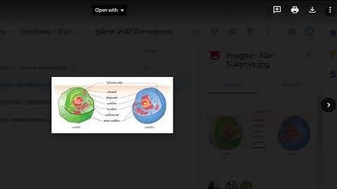 แสดงรูปภาพใน Google sheet