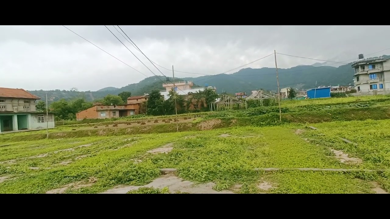 भक्तपुर  सुर्य बिनायक नगर पालिका सिरुतार वदा 8  185412247984976:13708:980-3878364  9745654786