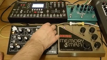 Moog Minitaur, EHX Deluxe Memory Man & Strymon Big Sky