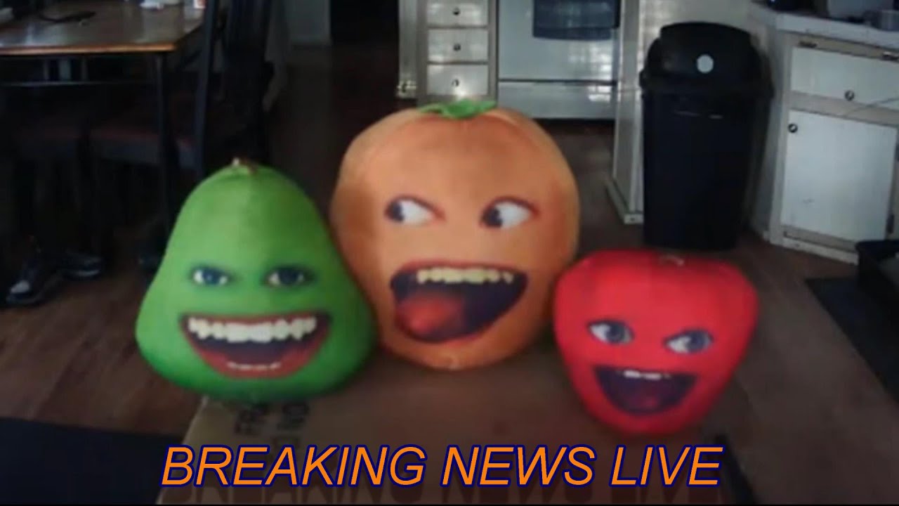 The Stupid Orange Breaking News Live - YouTube