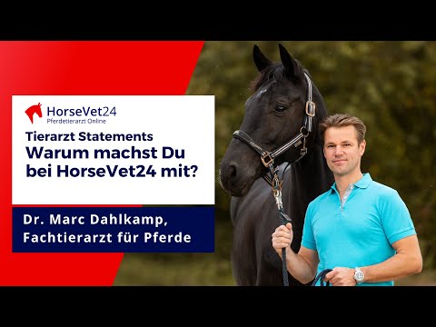 Telemedizin für Pferde: