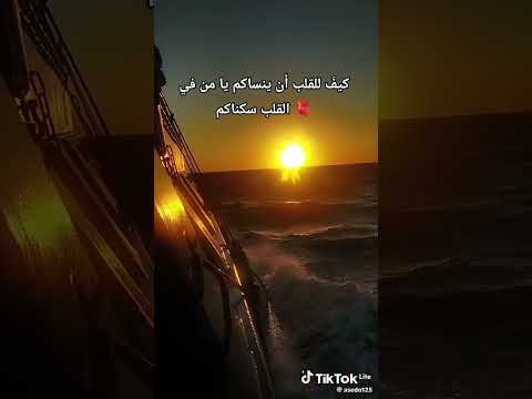 ليالي فرقتنا وليالي عزبتنا حالات واتس تصميم فيديو لايك اشتراك بالقناه ليصلك كل جديد