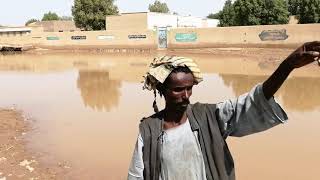 مواطن من طوكر يشرح حجم الفيضان بالمنطقة