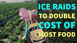Trump's ICE Raids To Double Price Of Nearly ALL Food Trump's ICE Raids To Double Price Of Nearly ALL Food