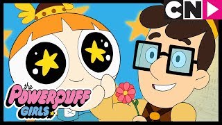 Суперкрошки | Цветик-звезда | Cartoon Network