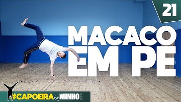 Exploring MACACO EM PE of Capoeira | #capoeiraByMinho (Ep21)