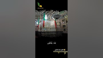 تلاوة خاشعة وهادئة مختارة من سورة النحل || وَاللَّهُ يَعْلَمُ مَا تُسِرُّونَ وَمَا تُعْلِنُونَ
