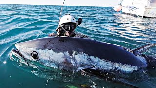 Monster Bluefin TUNA Spearfishing🔪CATCH and COOK