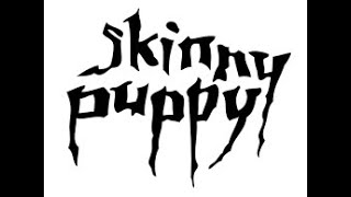 Sleeping Beast - Skinny Puppy (Don&#39;t Machine Instrumental Cover)