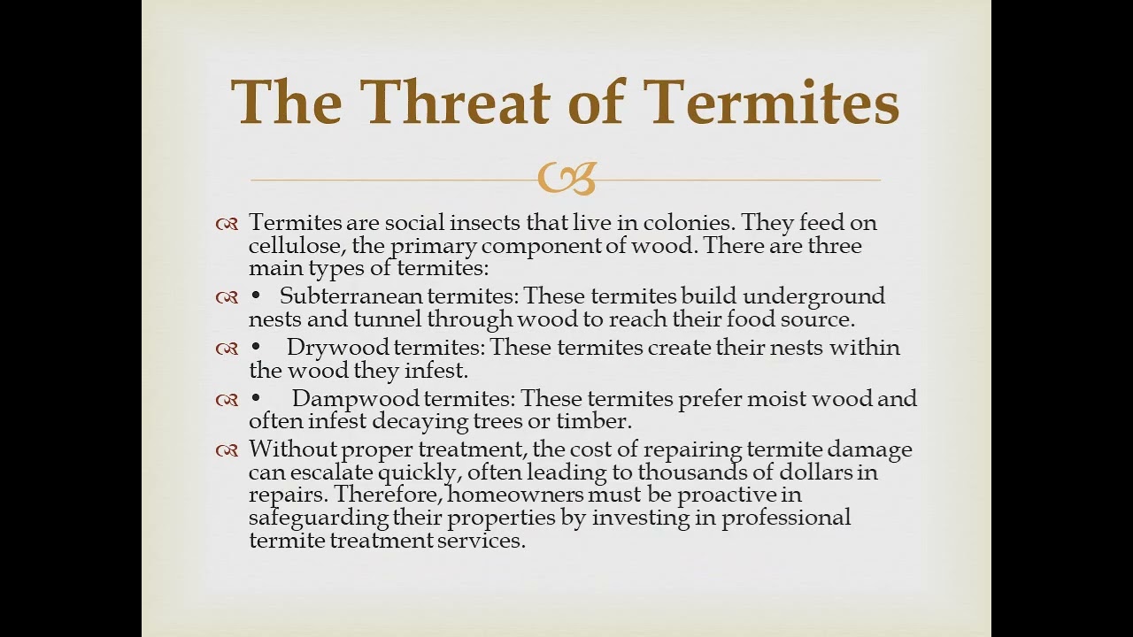 Safeguard Your Home Termite Treatment and Pest Control in Penrith