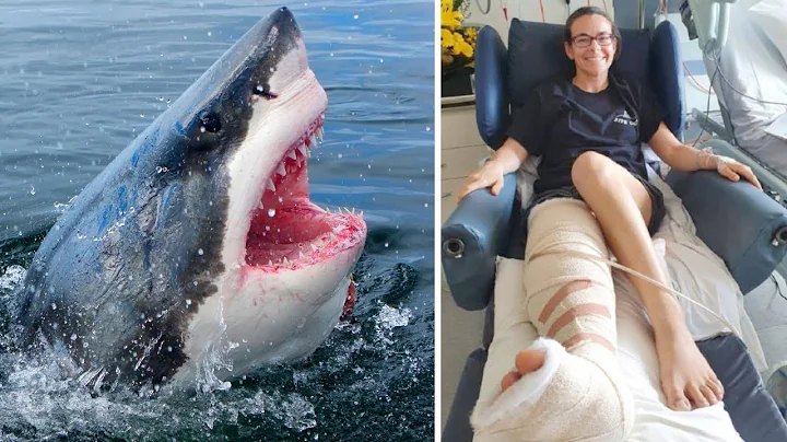Why You Should Avoid The Deadly Great White Shark!