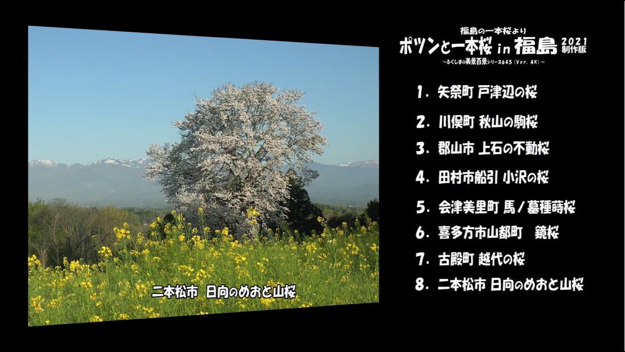 福島の一本桜より ｖｅｒ 4ｋ ポツンと一本桜 In 福島２０２１制作編 Youtube