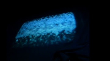 portwoods box mariahs tv