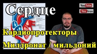 Why Everything You Know About ретаболил бодибилдинг Is A Lie