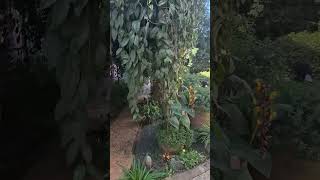 My Favourite Part Of This Garden Is The Gerbs Corner Urban Farming