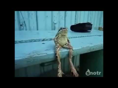 pusti me na