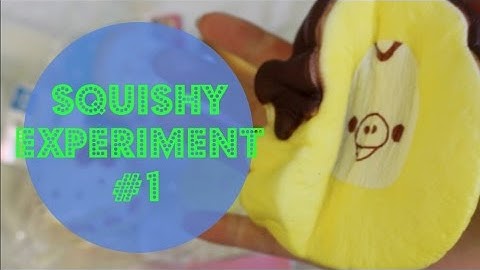 ♡Squishy Experiment #1♡