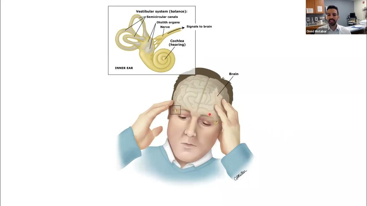 Заложило уши и кружится голова что это. Заложило уши и кружится голова что это. Заложило уши и кружится голова что это. Релатон лекарство для слуха. От шума в ушах.