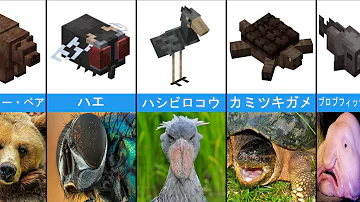 マイクラ動物