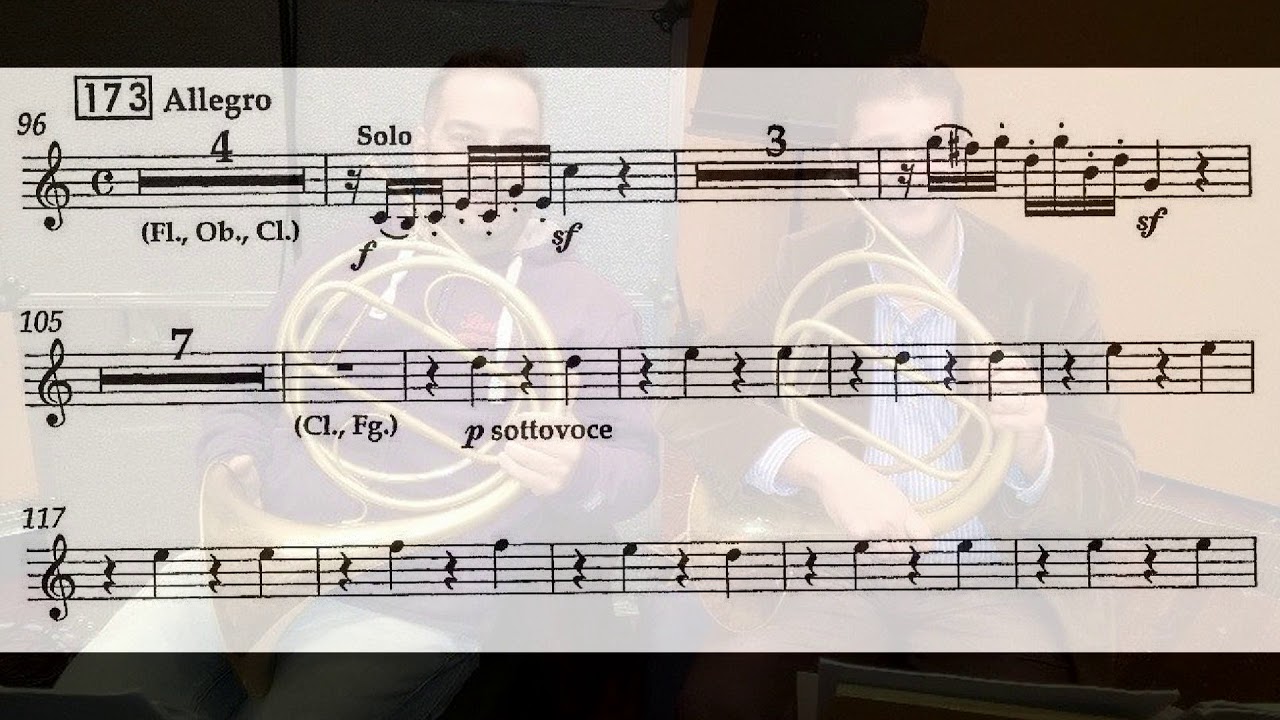 Přírodní lesní roh model 510