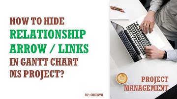 Hide relationship arrows/links in Gantt Chart Microsoft Project | Project Management