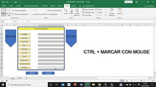 COMO REALIZAR UN FORMULARIO CON EXCEL