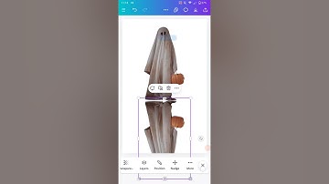 How to add Liquify reflection in a minute : Canva editing tutorial !