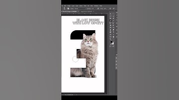 Cool text effect in #photoshop #art #cat