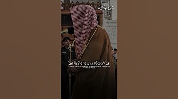 ﴿وَحَسُنَ أُولئِكَ رَفيقًا﴾ | تلاوة مُحبَّرة بديعة لفضيلة الشيخ د.#الوليد_الشمسان حفظه الله