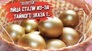 Тайна раскрыта! Почему яйца подорожали? Куда они делись? Тайный указ правительства!..