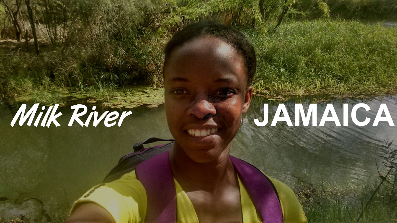 Milk River In Clarendon Jamaica 14 Parishes In 14 Days Youtube