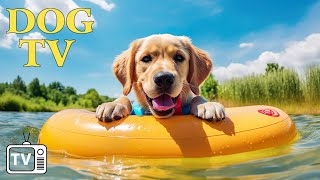 DOG TV: วิดีโอเพื่อความบันเทิงที่ดีที่สุดสำหรับสุนัขวิตกกังวลเมื่ออยู่บ้านตามลำพัง - เพลงผ่อนคลาย...