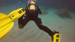 2. Tauchgang mit Dive&Fun Mallorca