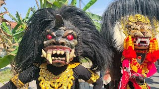 SEDEKAH BUMI DESA TEMPELLEMAHBANG 2024 Edisi Kirab Barongan Blora Sangat Meriah