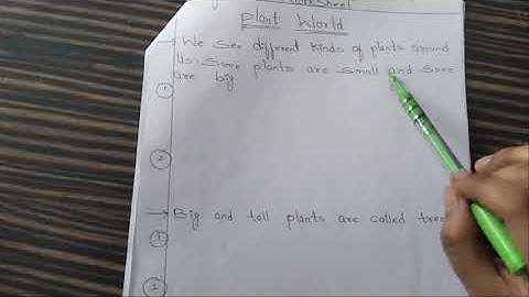 III-E.V.S-Bridge Course-Day-15