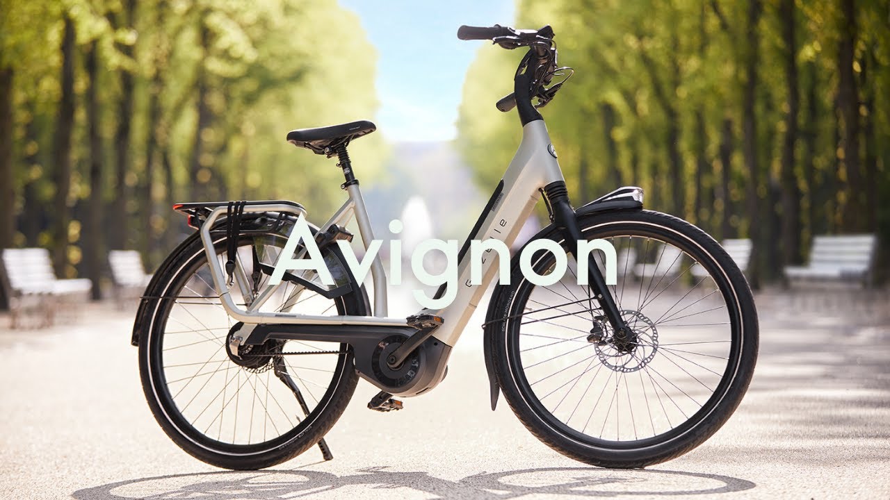 Gazelle Avignon C380 Dame Pebble Grey - 2025