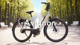 Gazelle Avignon C380 Dame Pebble Grey - 2025