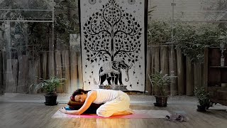 Yoga para o período pré e menstrual com Pazu