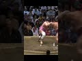Daieisho VS Ura Natsu Basho 2024 Sumo #япония #japan #сумо #sumo #sport #mma #ufc #wwe #борьба