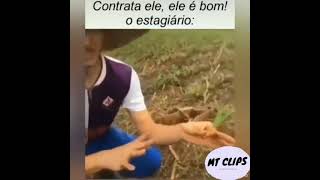 QUANDO VC É UM STAGIARIO NA ROÇA 😂😂✌️