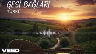 Gesi Bağları (Cover Anotolian Rock) Turkish Psych 70S