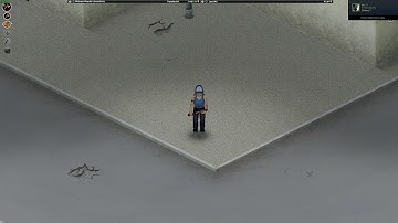 Project Zomboid Build 41 "NewMusic_35"