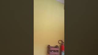 Nosso Dia De Churrasco E Piscina