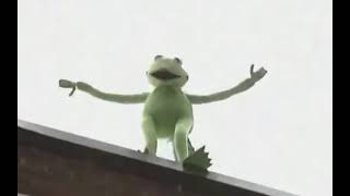 kermit the frog falling off the roof