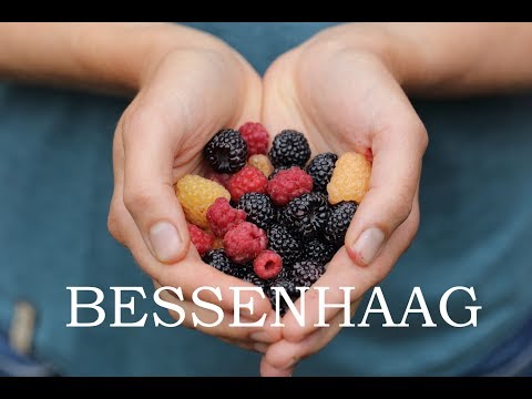 Video: Bessenhaag