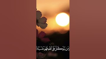 تلاوة خاشعة تريح القلب