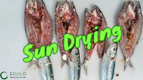 EduLo: Learning at your own pace